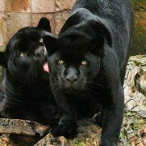 Meet your Posher, Katrina